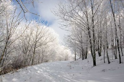 Max Patch Mountain 18