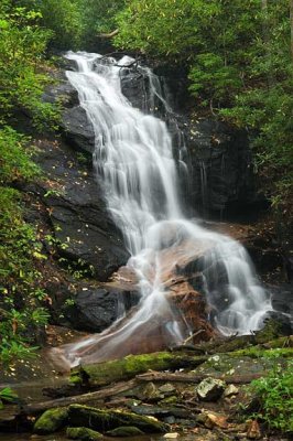 waterfall in Log Hollow