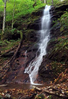 waterfall on Little Fall Branch
