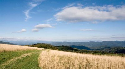 Max Patch Mountain