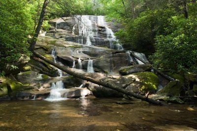 June 15 - Cove Creek Falls & Blue Ridge Parkway South