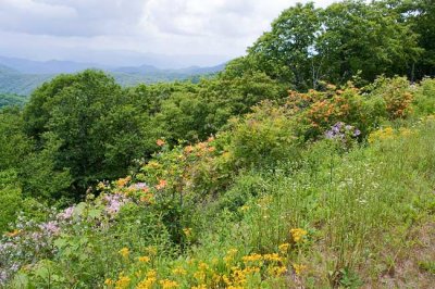 Blue Ridge Parkway 11