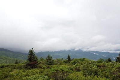Roan Mountain 2