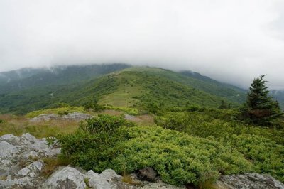 Roan Mountain 3