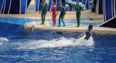 dolphin-9.jpg