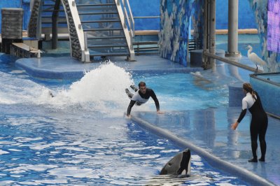 Seaworld 2008