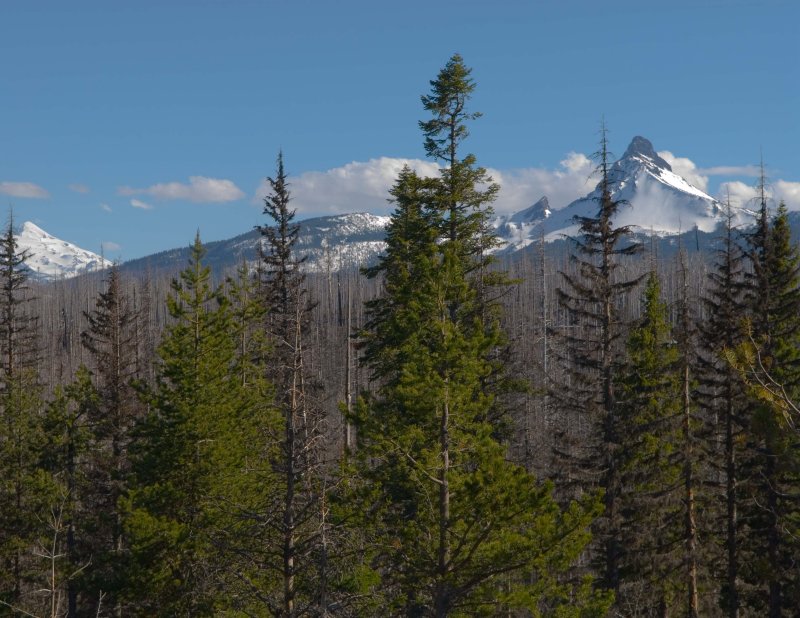 central_oregon