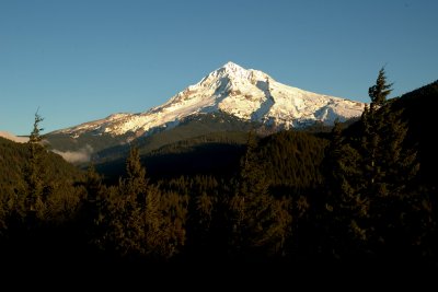 DSC_0005-hood.jpg