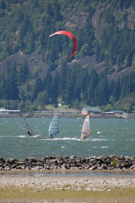 DSC_4550.JPG