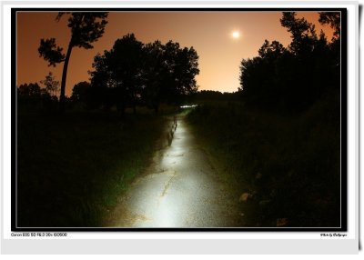 IMG_0711 copy.jpg