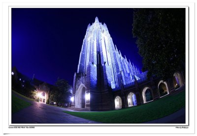 IMG_0729 copy.jpg