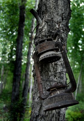 DSC_7171a.jpg