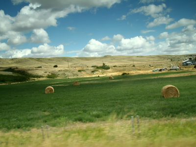 montana