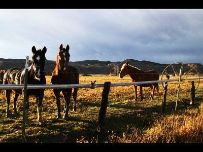 ranch in Utah