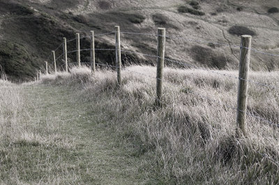 coastal path :: llulworth cove