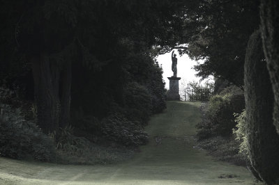 lonely statue :: forde abbey