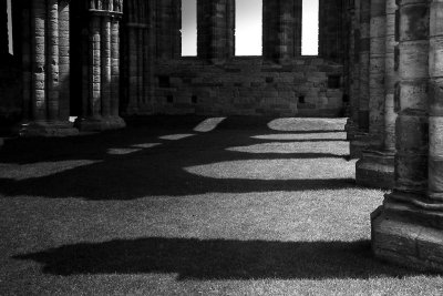shadows, whitby abbey