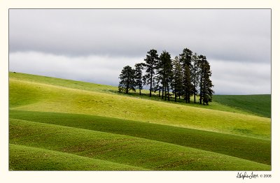 20080611_Palouse_0005.jpg