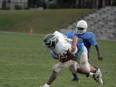 LHS Fres FB 073.jpg