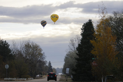 balloons over Greeley
