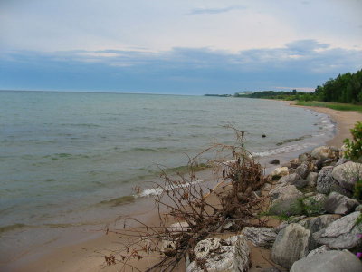 IMG_1022.jpg