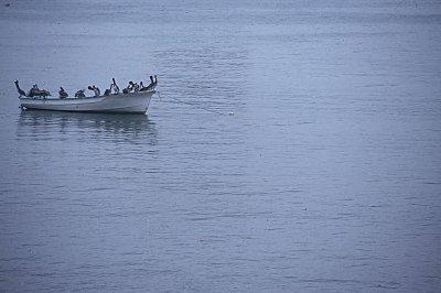 Dinghy.jpg