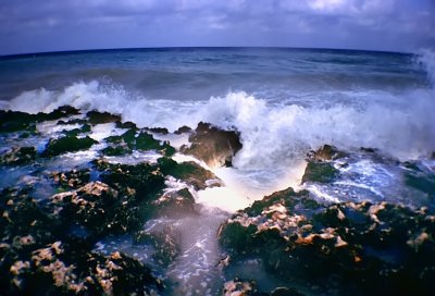 Image112_filtered.jpg