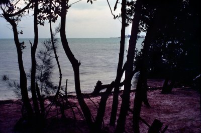 Image187.jpg