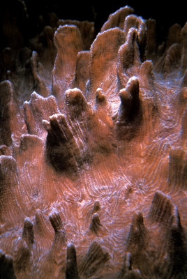 Image189.jpg