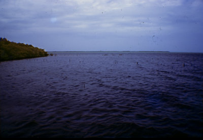 Image200.jpg