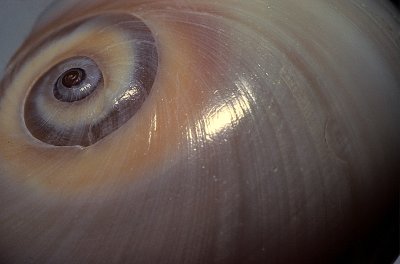 Image60.jpg