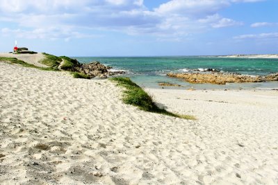 La Torche