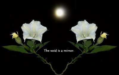 The Void Is a Mirror