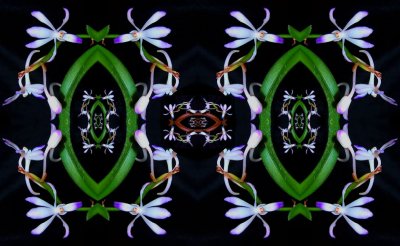 g5/79/738779/3/119373950.5QyJgNOB.jpg