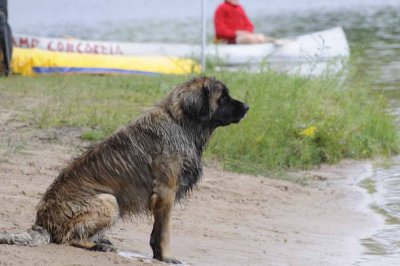 2008 Non-Newf Water Test