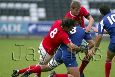 Wales v France10.jpg