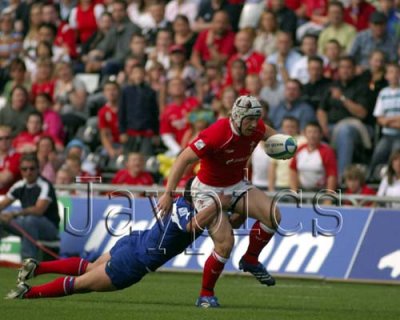 Wales v France12.jpg