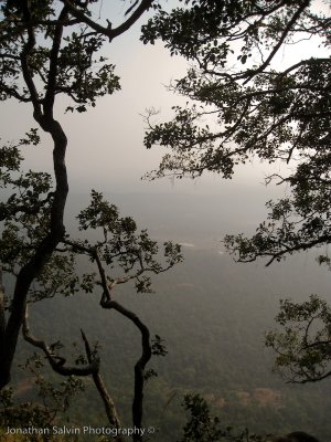 Bandhavgarh National Park-205.jpg