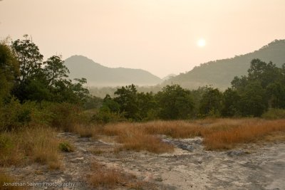 Bandhavgarh National Park (including Tigers)