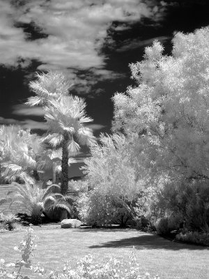 Tucson Ridge 3