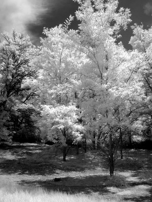 Corn Creek 01