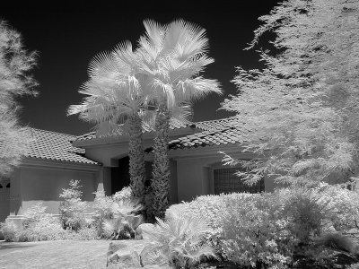 Tucson Ridge 7
