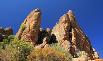 IMG_3169.jpg