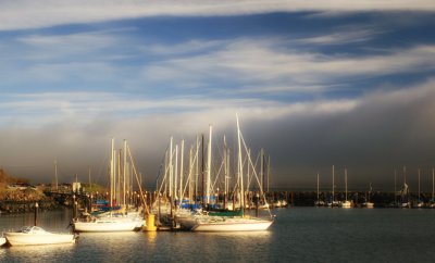 IMG_8275.jpg