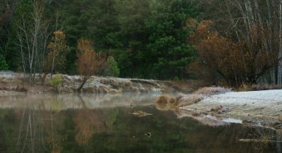 IMG_2595.jpg