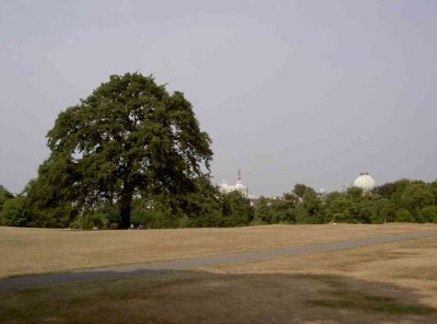 london_03_0061.jpg