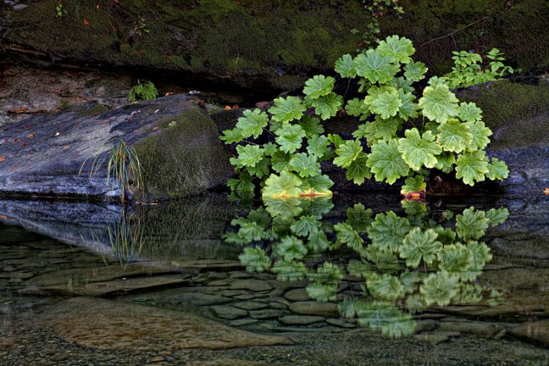 Coquille River, Oregon