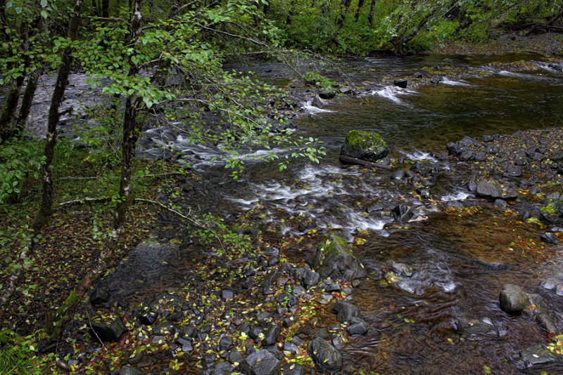 Nestucca River, Oregon
