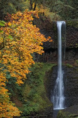 Middle Falls - Silver Falls State Park - Oregon