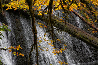 Lower North Falls - Silver Falls State Park, Oregon